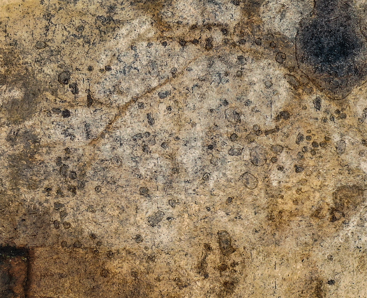 Figur 3: Fladefoto med langhus A423, de to hegnsforløb ved bygningen og sølvet fra skat 1.