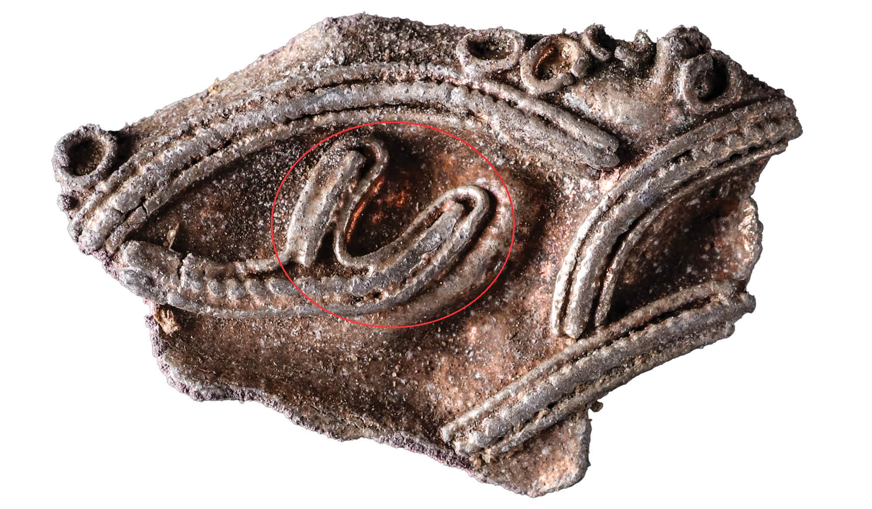 Figur 15: Fragment af fibula fra Bramslev skat 2 med tvedelt tå fra et formodet dyr i Jellingestil.