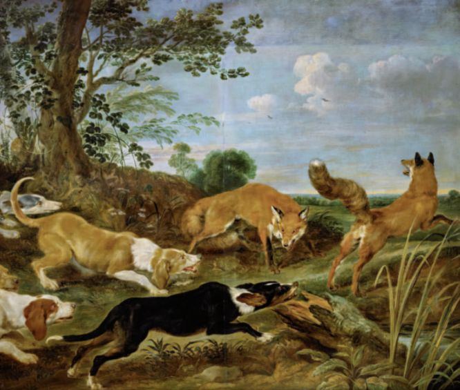 Den mest fornemme jagt gik på kronvildt, men ræve- og hare‑ jagten var, efter dagbogsnotater at dømme, adelsmanden Eske Brocks (1560‑1625) foretrukne jagt. Ræve blev jaget med en kombination af våben, fælder, net og hunde. Fox Hunt, ræve‑ jagt, tilskrevet Paul de Vos, 1677. Foto: Wikimedia Commons.