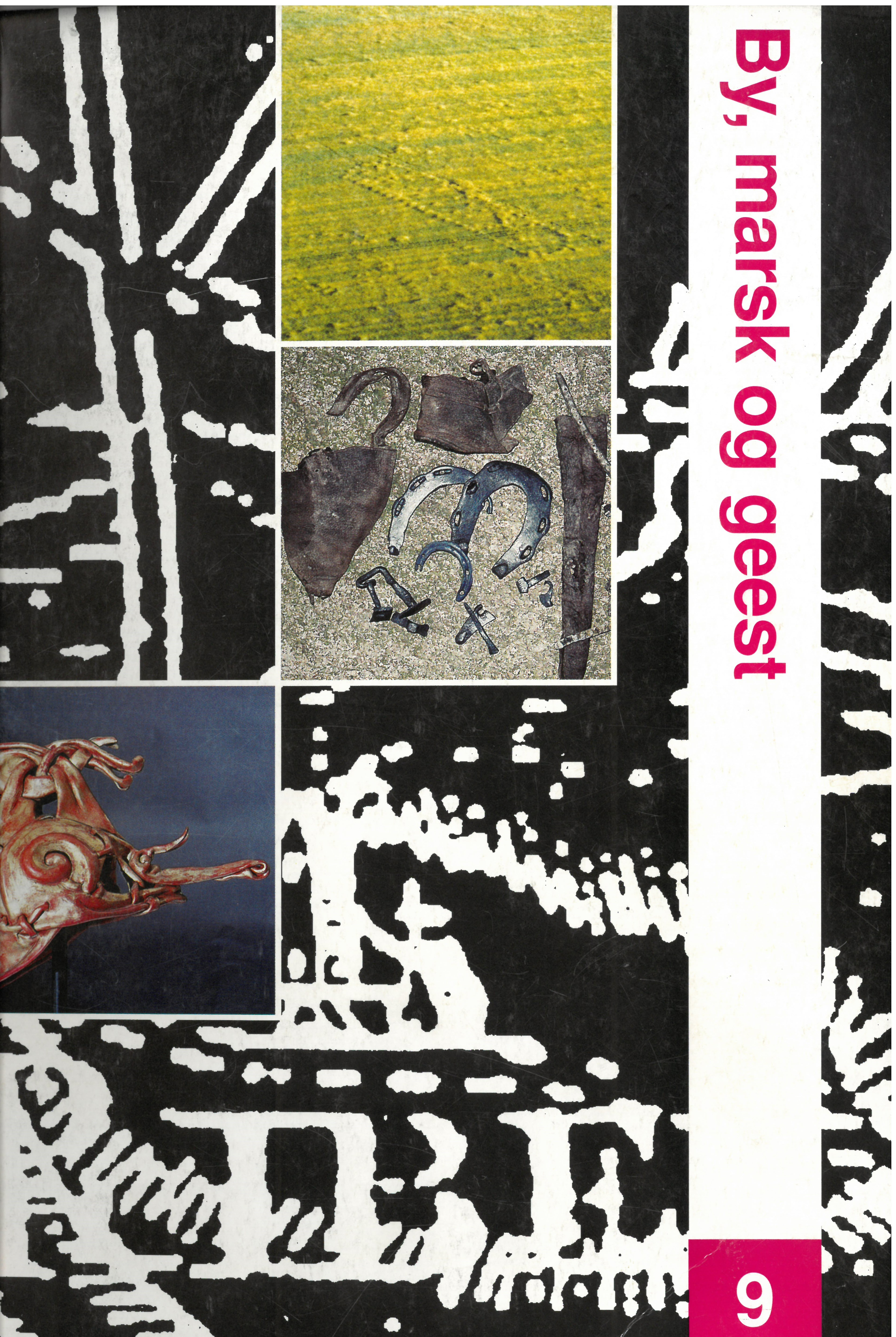 					Se Årg. 9 Nr. 1 (1997): By, marsk og geest 9 - Kulturhistorisk årbog for Ribe-egnen
				