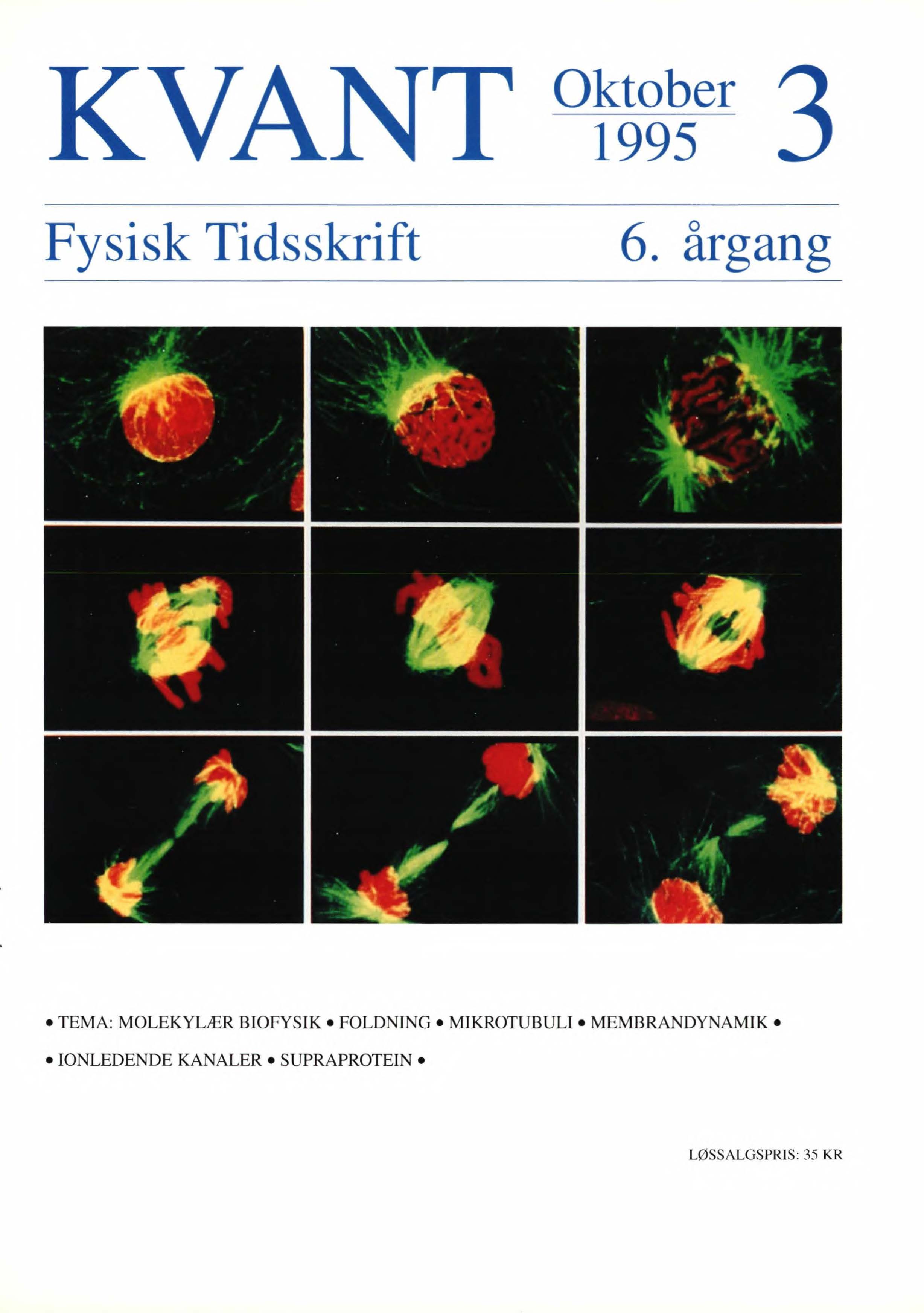 Mikrotubuli! Under celledelingen skal den levende celles kernemateriale sorteres nøjagtigt i to bunker. Her tillades ingen forfordeling mellem søskende. Mikrotubuli udgår fra to centre, griber og trækker i hver sin halvdel indtil de har fat i hver eneste halvpart - så deles cellen. Kromosomer (røde) og mikrotubuli (gul-grønne) under celledeling, som starter med øverste venstre billede (a), og slutter med nederste højre billede (i). Læs artiklen side 8 for yderligere forklaring. (A. Merdes, E. H. Stelzer, and J. De Mey, The three-dimensional architecture of the mitotic spindle, analyzed by confocal fiuorescence and e leet ron microscopy, J. Electron Microsc. Tech. 18, 16-73 (1991).)