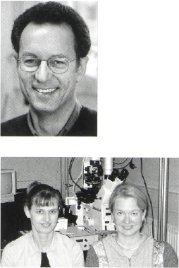 Henrik Flyvbjerg, Kirstine Berg -Sørensen og Lene Oddershede